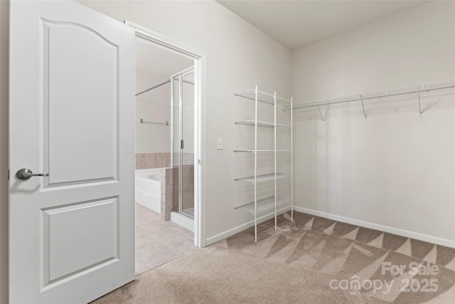 walk in closet with light carpet