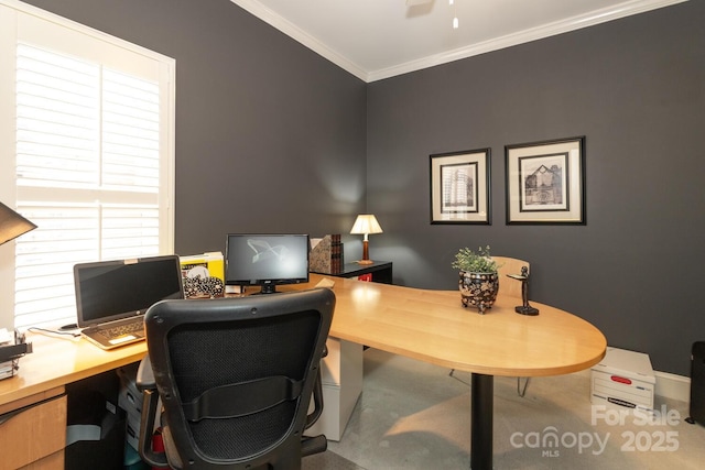 carpeted home office with crown molding