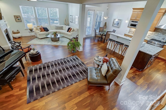 living room with dark hardwood / wood-style flooring