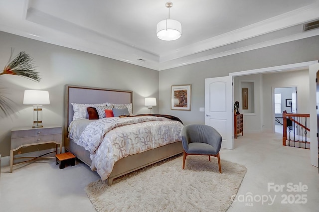 bedroom featuring a raised ceiling and light carpet