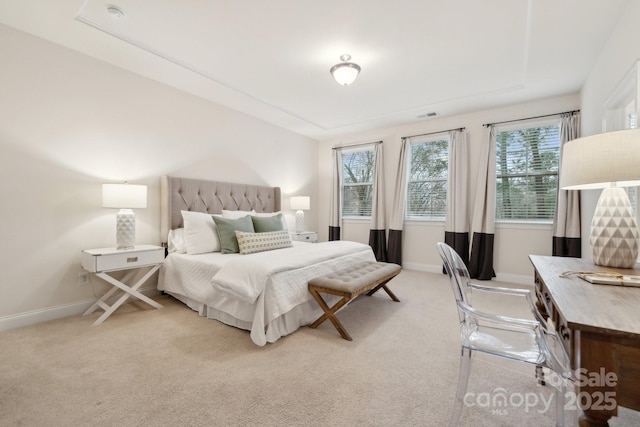 bedroom featuring a raised ceiling and light carpet