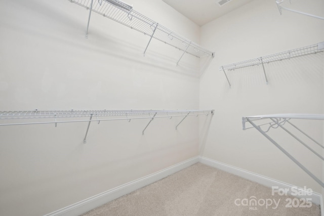 spacious closet featuring carpet