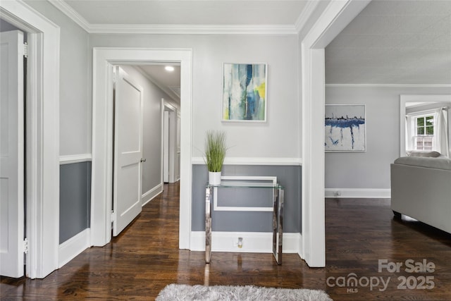 hallway featuring dark hardwood / wood-style flooring and ornamental molding