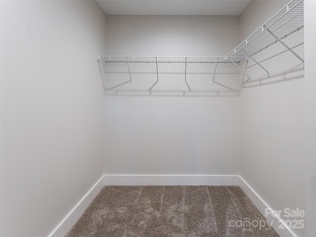 walk in closet with carpet