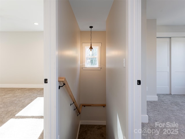 stairs featuring carpet floors