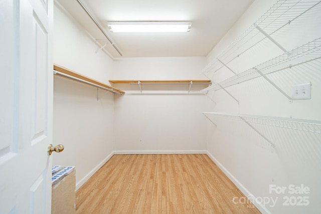 walk in closet featuring light wood-type flooring