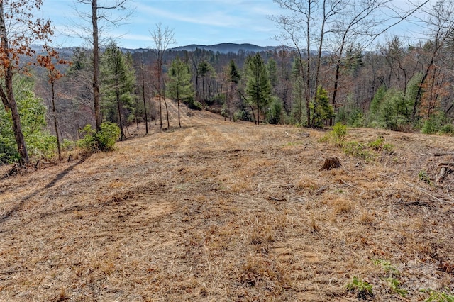 LOT3 Walnut Hollow Rd, Brevard NC, 28712 land for sale