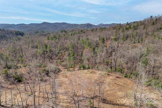 Listing photo 2 for LOT3 Walnut Hollow Rd, Brevard NC 28712