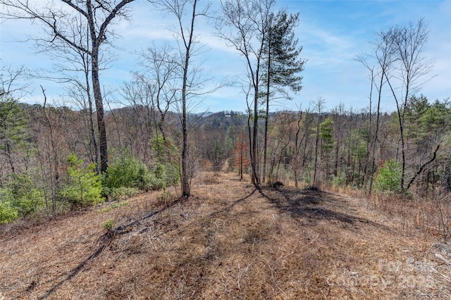 Listing photo 3 for LOT3 Walnut Hollow Rd, Brevard NC 28712