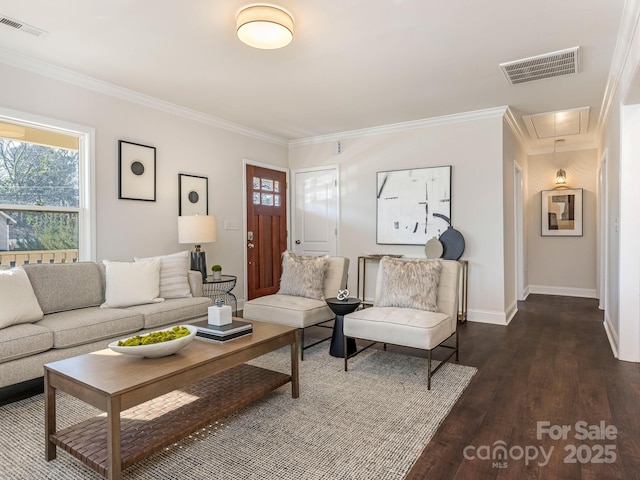 living room featuring dark hardwood / wood-style floors and crown molding