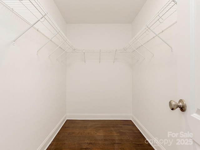 walk in closet featuring dark hardwood / wood-style flooring