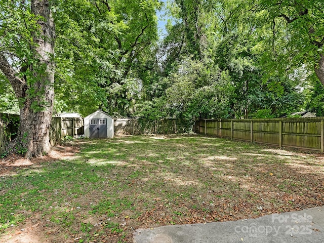 view of yard featuring a shed