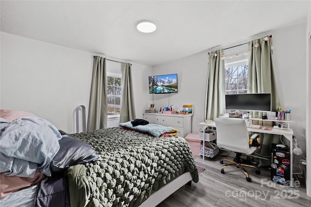 bedroom featuring wood-type flooring and multiple windows