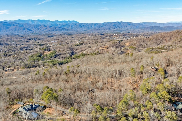 property view of mountains