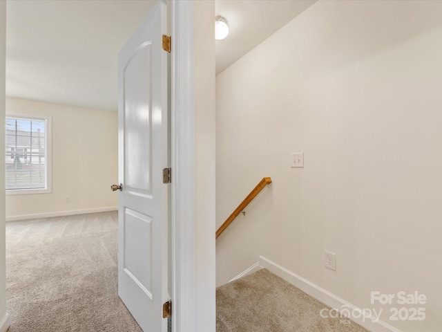 staircase featuring carpet