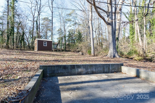 view of yard with a storage shed