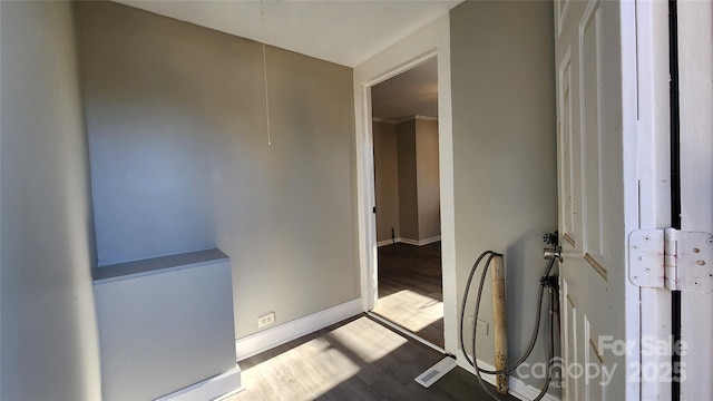 bathroom featuring wood-type flooring