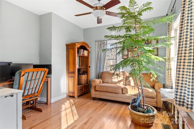 office featuring ceiling fan and light hardwood / wood-style flooring