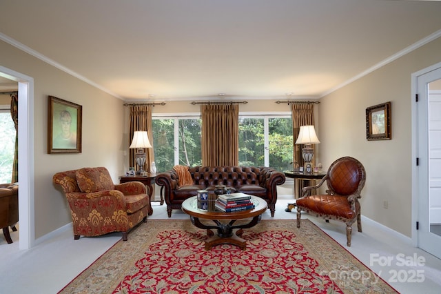 carpeted living room featuring crown molding