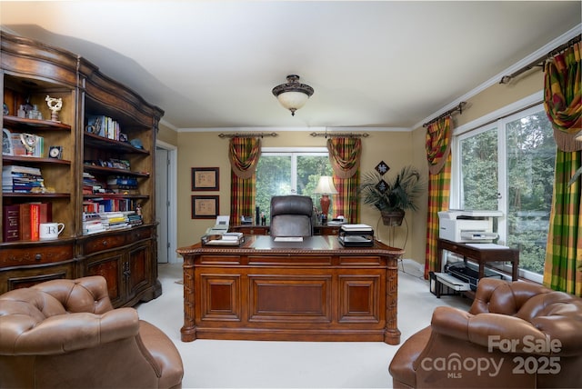 office space featuring light carpet and ornamental molding