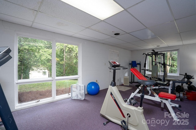 workout room with carpet flooring and a drop ceiling