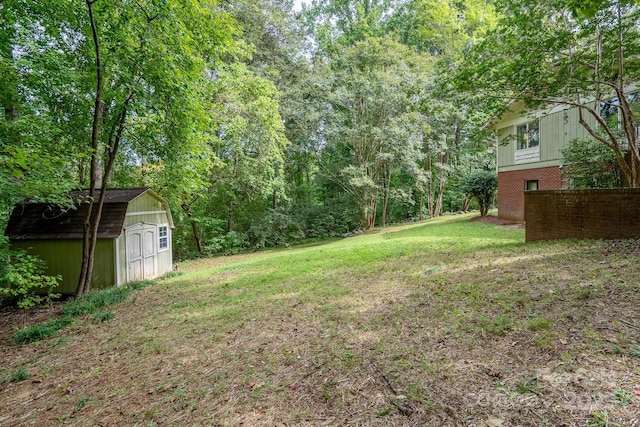 view of yard featuring a storage shed