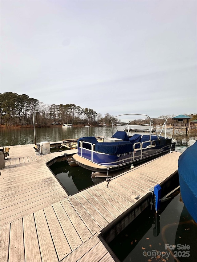 dock area featuring a water view