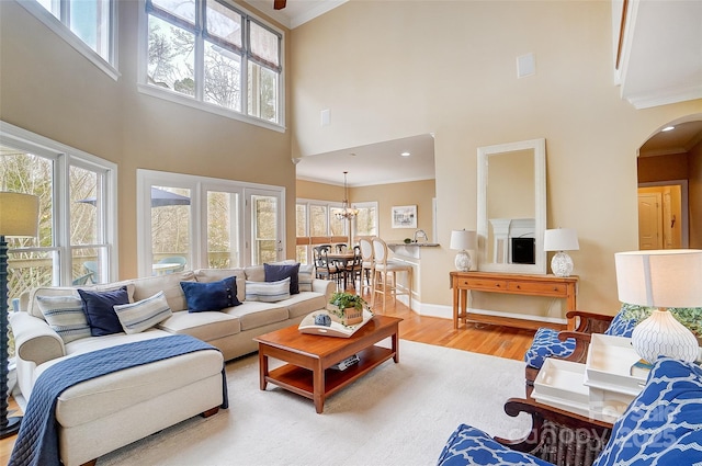 living room with hardwood / wood-style floors, a towering ceiling, and a wealth of natural light