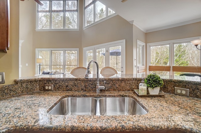 kitchen with sink, a healthy amount of sunlight, and stone counters