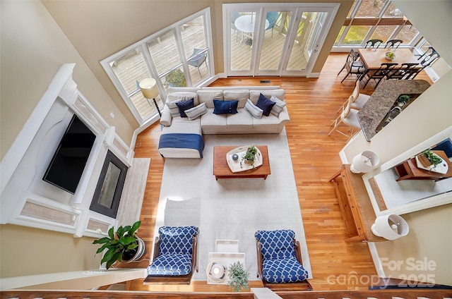 living room with wood-type flooring and a wealth of natural light