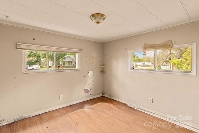 empty room with wood-type flooring