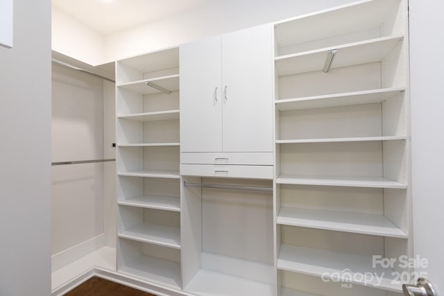 view of spacious closet