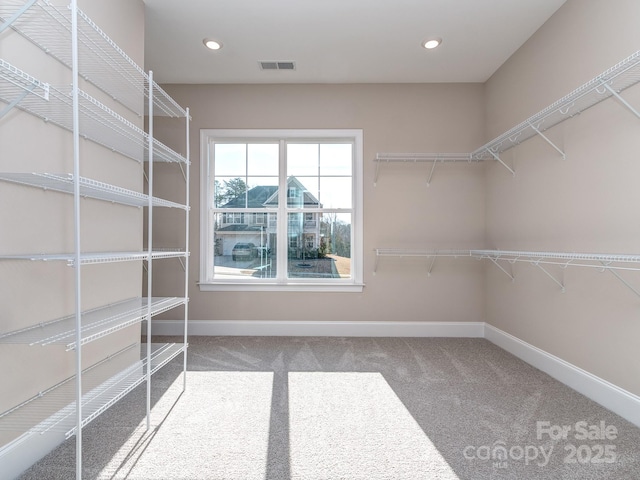 walk in closet featuring carpet and visible vents