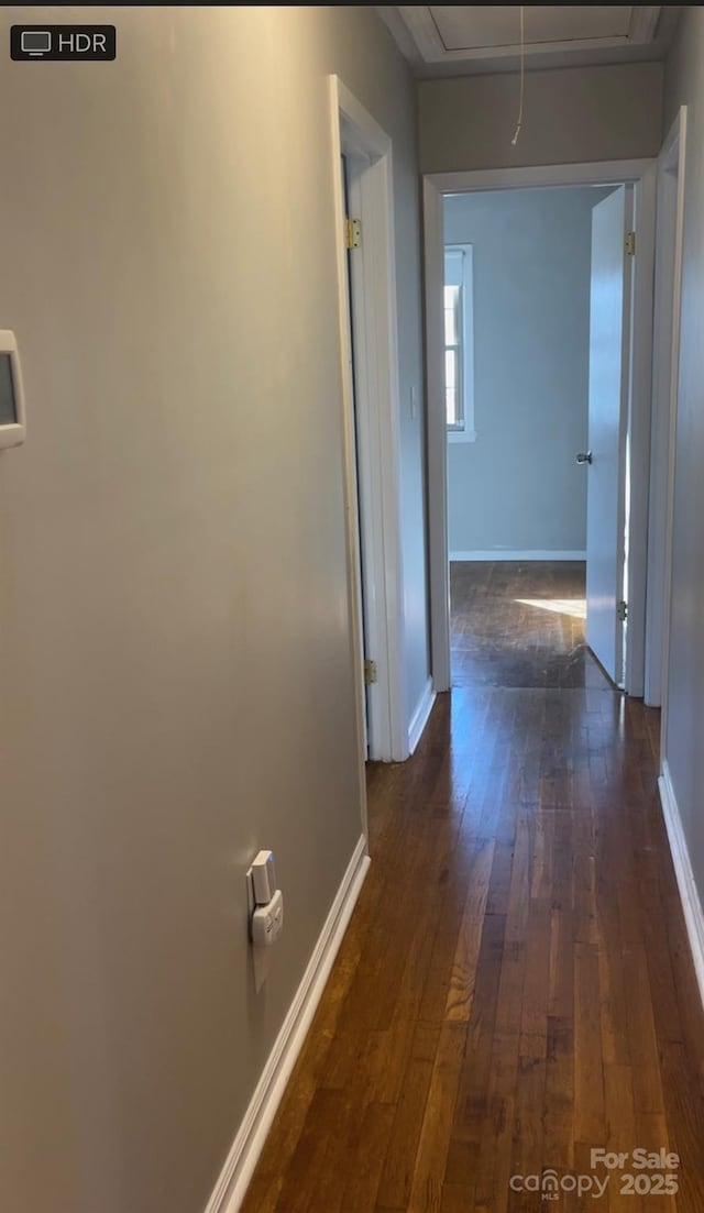 corridor featuring dark hardwood / wood-style flooring