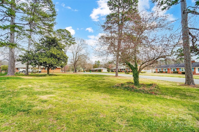 view of yard featuring driveway