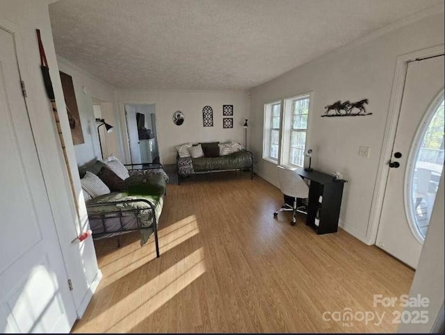 living room with a textured ceiling and light wood-type flooring