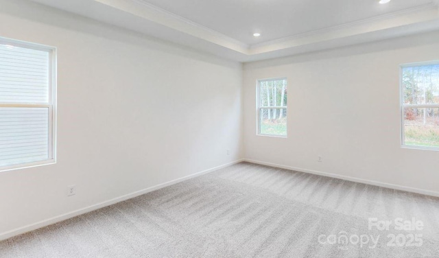 spare room with carpet flooring, a raised ceiling, ornamental molding, and a wealth of natural light