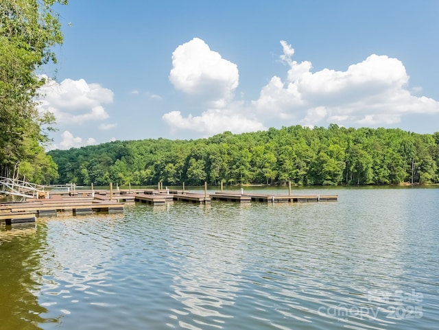 dock area with a water view