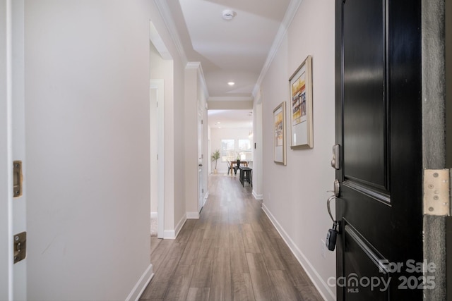 hallway with ornamental molding and hardwood / wood-style flooring