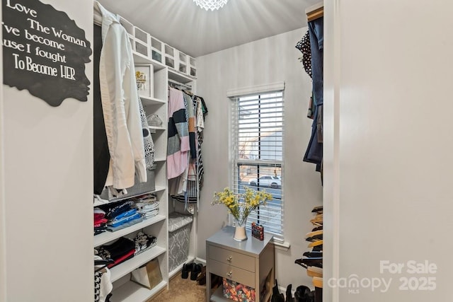 walk in closet with carpet