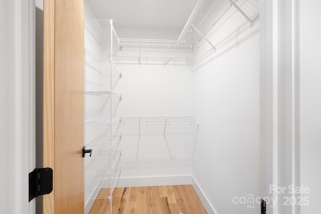 spacious closet featuring hardwood / wood-style flooring