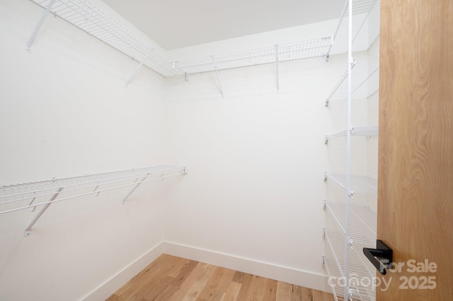 spacious closet with hardwood / wood-style flooring