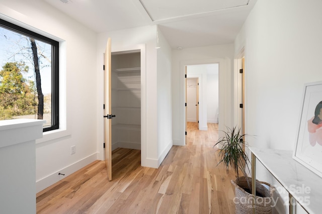 corridor featuring light hardwood / wood-style floors