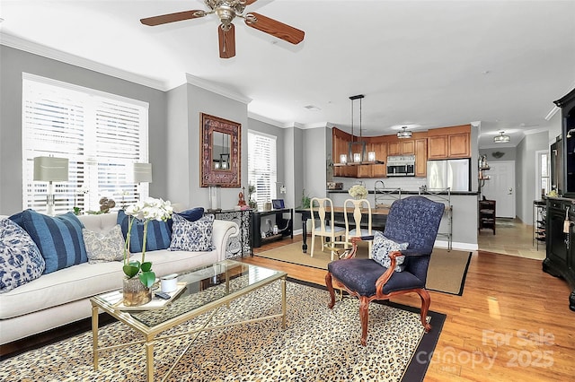 living room featuring ceiling fan, light wood-type flooring, crown molding, and sink