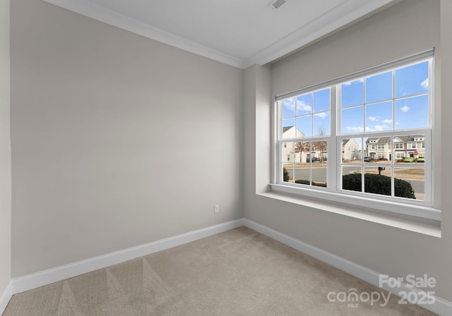 empty room with carpet floors and crown molding