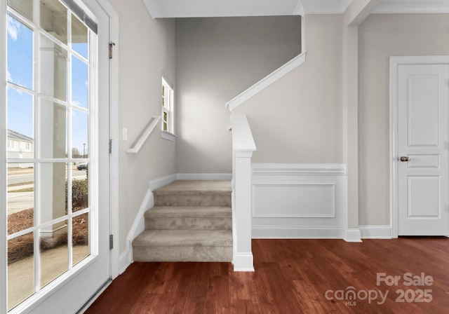 staircase featuring a wealth of natural light and hardwood / wood-style floors