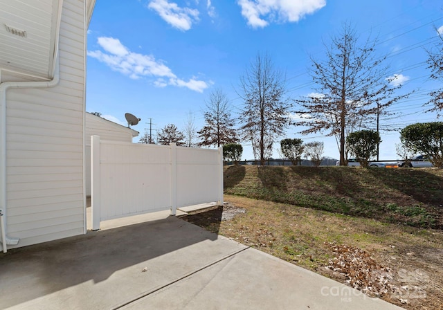 view of yard featuring a patio area