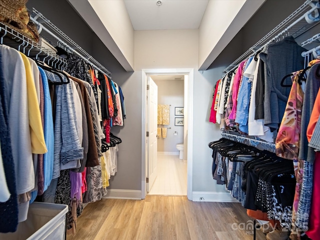 spacious closet featuring wood finished floors