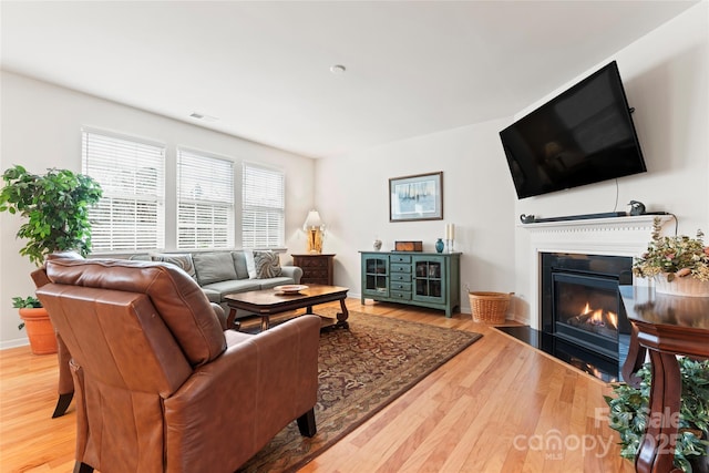 living room featuring hardwood / wood-style flooring