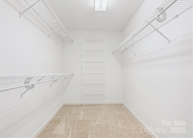 walk in closet featuring carpet